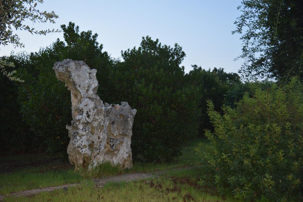Masseria Paglieroni Martina Franca Dış mekan fotoğraf
