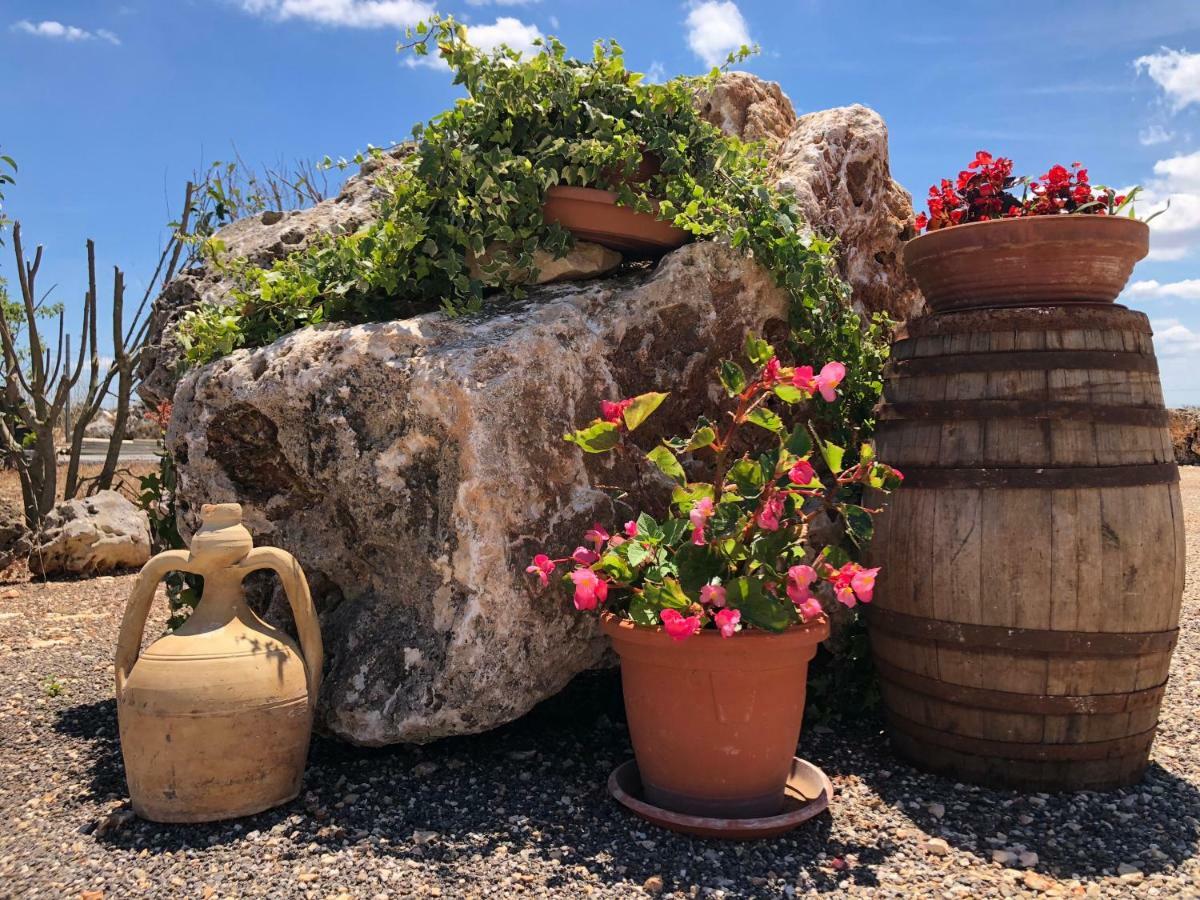 Masseria Paglieroni Martina Franca Dış mekan fotoğraf